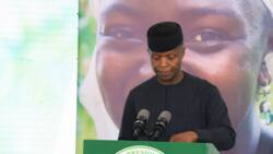 Ajibode Olawale: Osinbajo's support and pride in Nigeria's music industry, worthy of emulation