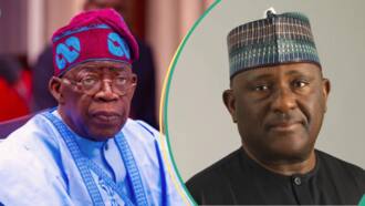 Nigerian Billionaire Rabiu Rejects APC's Appointment, Gives Reason ...