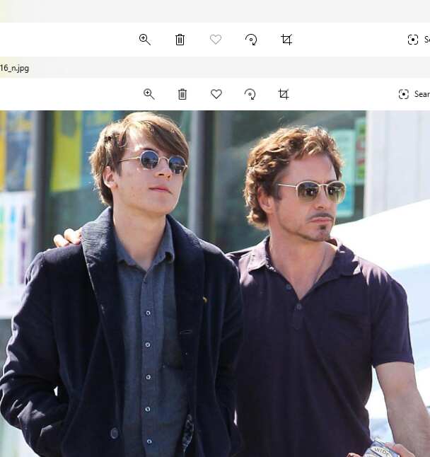 Indio Falconer Downey biography: Who is Robert Downey Jr’s son?