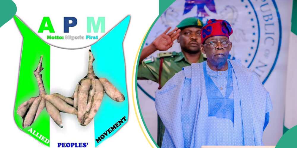 Kotun zabe ta kori karar APM kan Tinubu da Shettima Kotun zabe ta kori karar APM kan Tinubu da Shettima