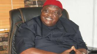 Did Ohanaeze's leader refer to Yorubas as political rascals? Details emerge