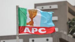 BREAKING: Tragedy as gunmen kill prominent APC chieftain, son in top northern state