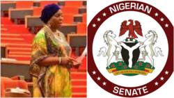 Child marriage: Senators' wives cry out, reject bill limiting marriage age to 18, give reason