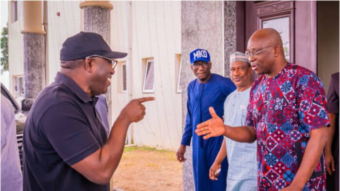 Error or honour: Fayemi reunites with Fayose, calls him governor, shares photos