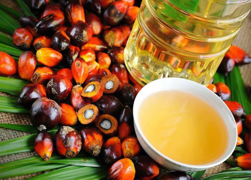 Does palm kernel oil lighten the skin
