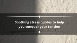 60 soothing stress quotes to help you conquer your tension