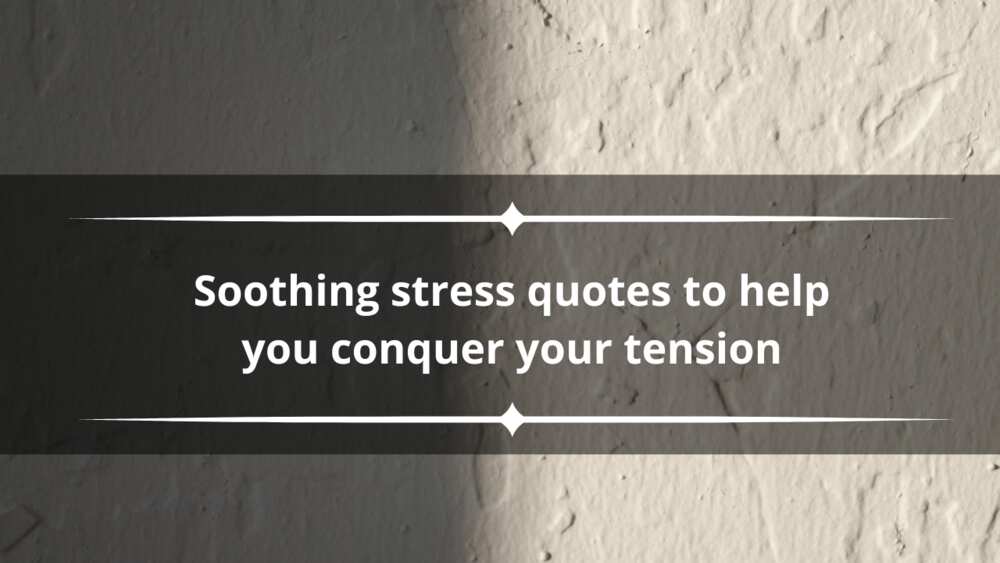 Soothing stress quotes
