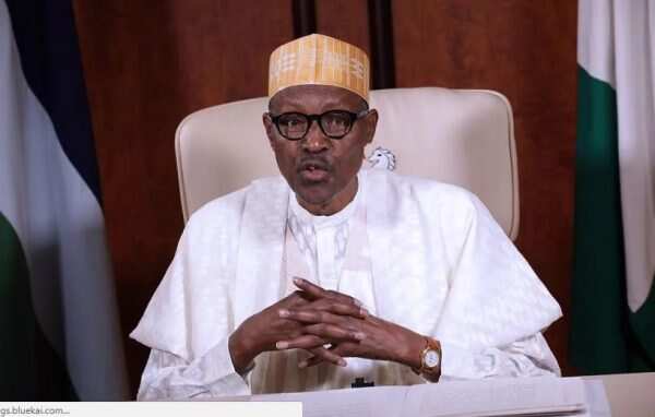 Yadda karamar hukumar cikin garin maiduguri ta tarawa Buhari kuri'u mafi yawa a Nigeria