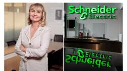 Schneider Electric reports expose sustainability action gap