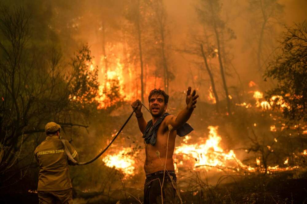 Greenhouse gas emissions continue to grow, despite scientists warning of the deadly consequences Greenhouse gas emissions continue to grow, despite scientists warning of the deadly consequences