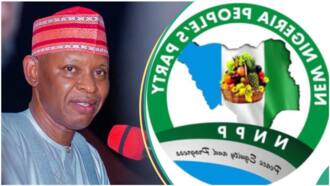 Court of Appeal sacking: Drama as NNPP dumps Gov Yusuf ahead of Supreme Court hearing