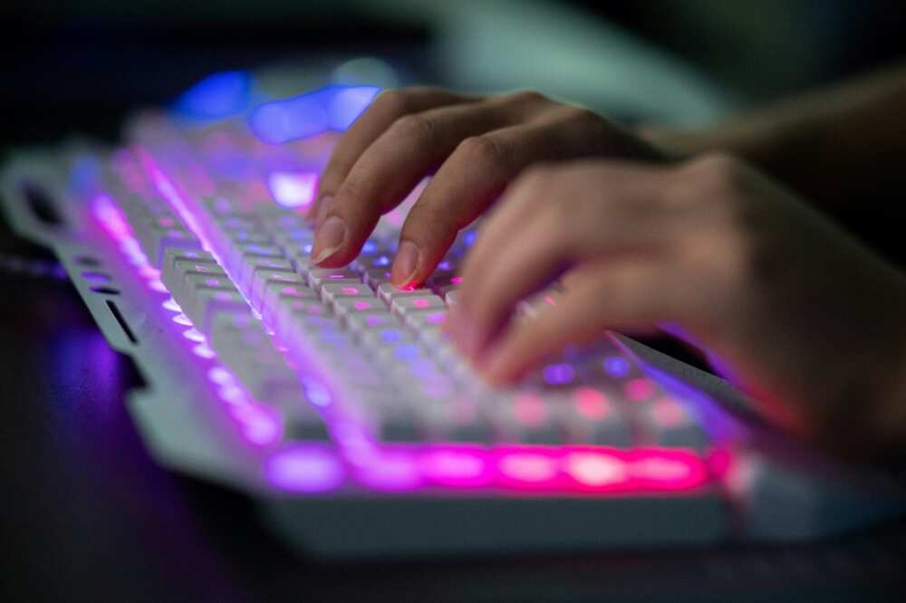 On the so-called dark web, providers of ransomware services and support pitch their products openly On the so-called dark web, providers of ransomware services and support pitch their products openly