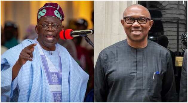 Tinubu, Peter Obi