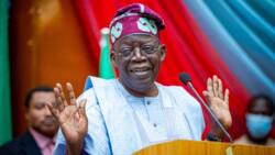 Tallafin N5bn: Tinubu Na Amfani Da Kudin Don Tilasta Karin Kudin Mai, Kungiya Ta Soki Tsarin Shugaban