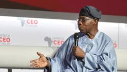 2023: Tsohon Shugaba Obasanjo ya fadawa ‘Dan takaran PDP sirrin yadda za a gyara Najeriya