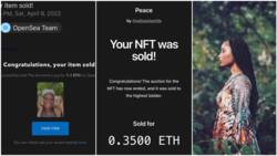 Creating NFTs: 5 steps Nigerians can follow to convert their photos into digital arts