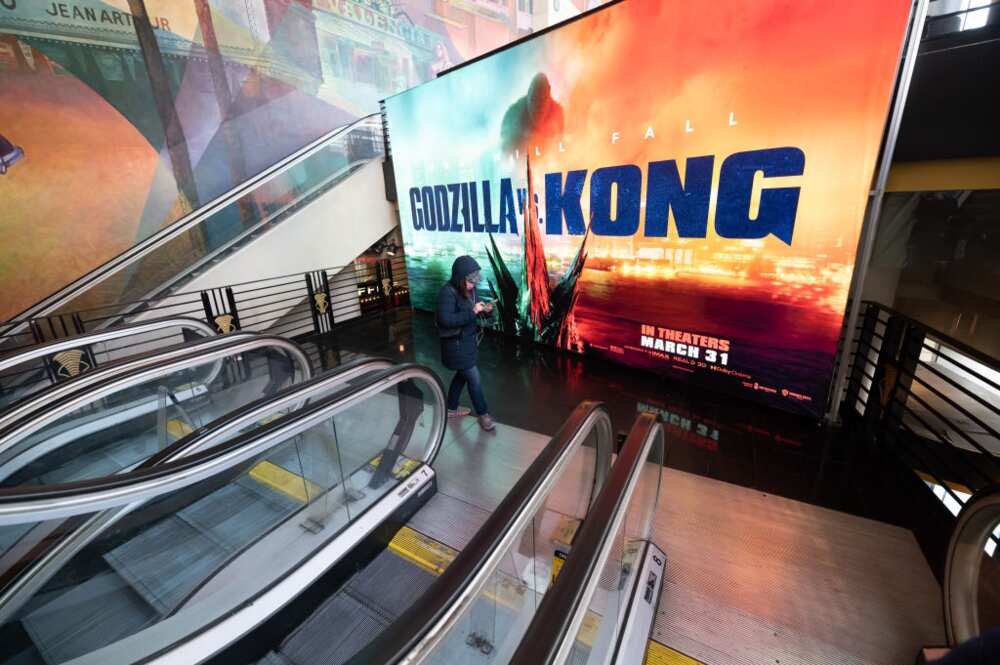Godzilla vs Kong: monstre, singe, qui sont-ils vraiment ? Godzilla vs Kong: monstre, singe, qui sont-ils vraiment ?