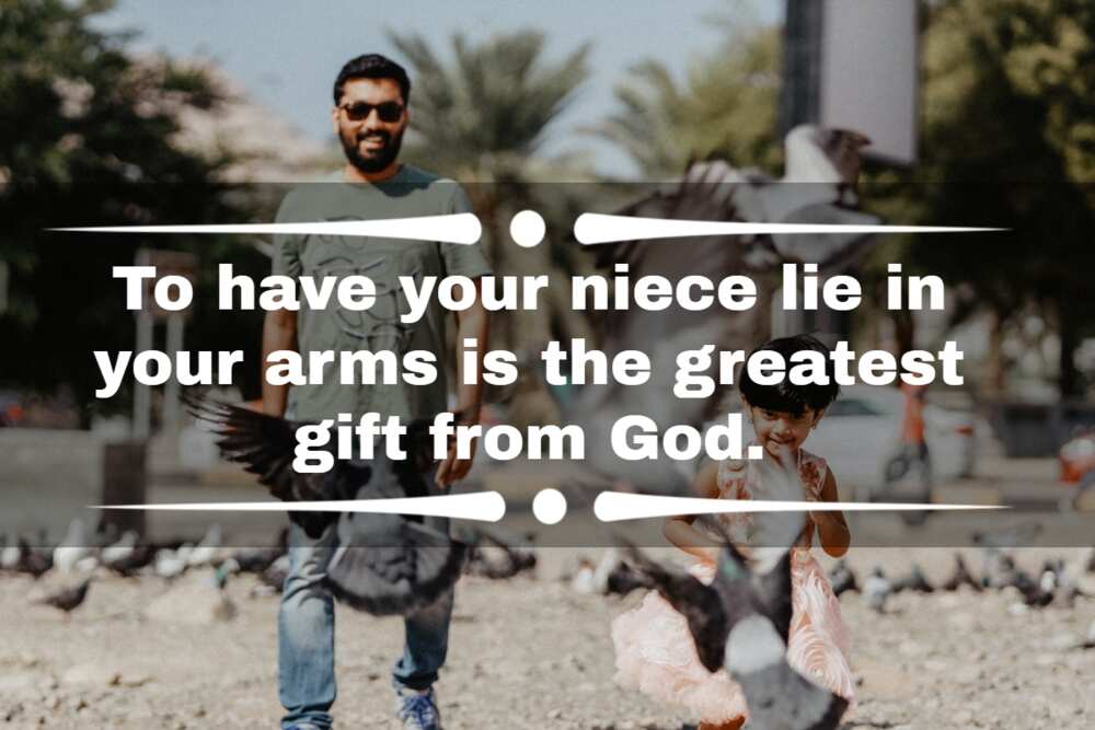 Niece and uncle quotes Niece and uncle quotes