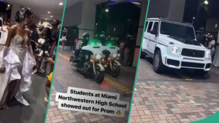 Drama as luxurious convoy and power bikes escort graduating students to school on prom day