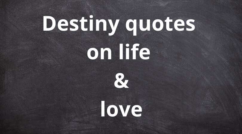 quotes about destiny and life