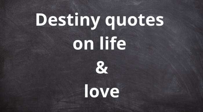 destiny quotes