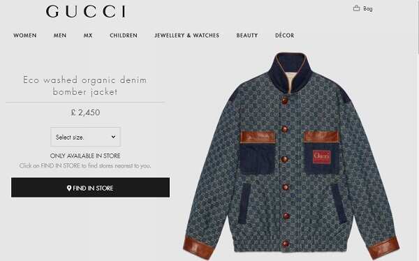 Screenshot of Gucci jacket on website.