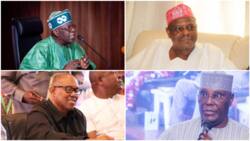 2023 presidency: "Obi is my brother; why I will not campaign for Tinubu, Atiku, Kwankwaso" - Ngige opens up