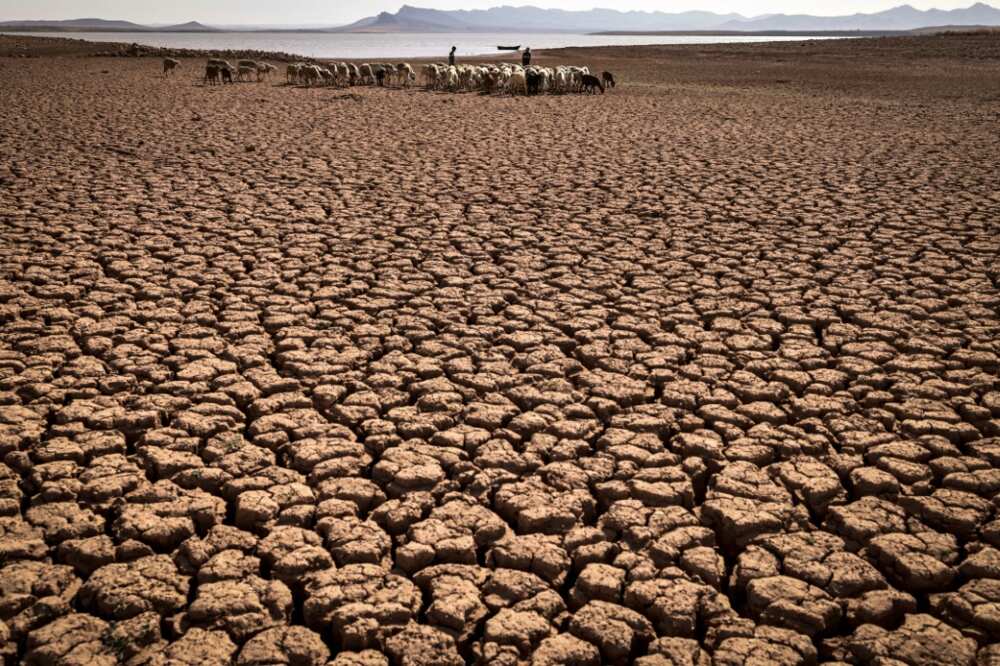 Cracked earth at a dam in Morocco's Ouled Essi Masseoud village, south of Casablanca, amid the country's worst drought in at least four decades, seen on August 8, 2022