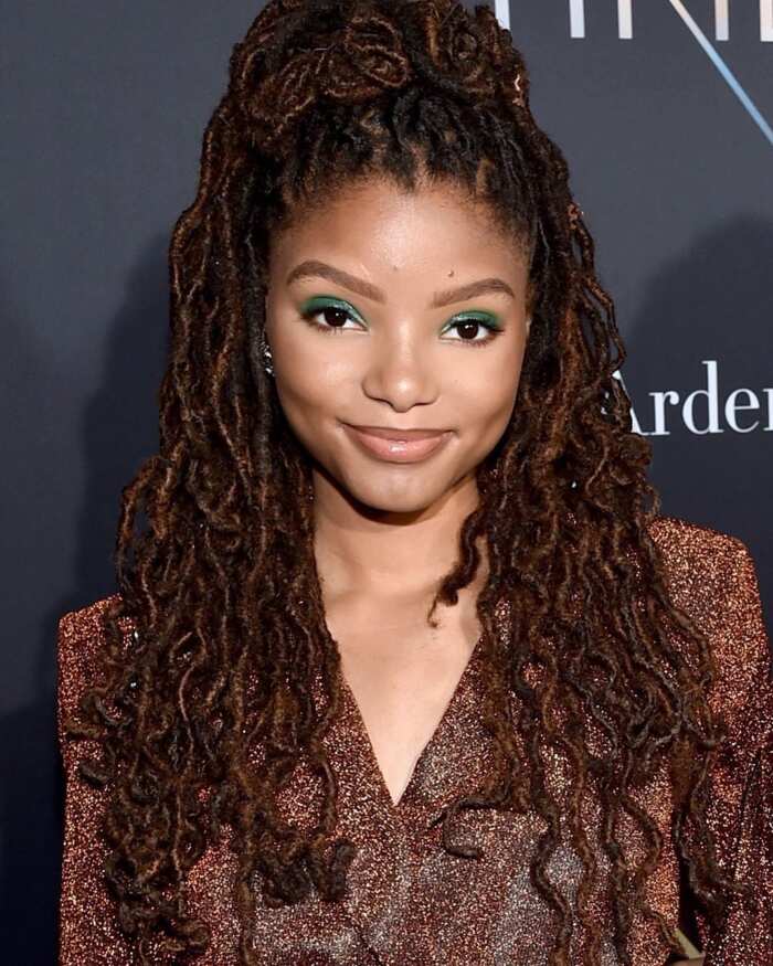 Halle Bailey bio: age, height, who is her sister? Legit.ng