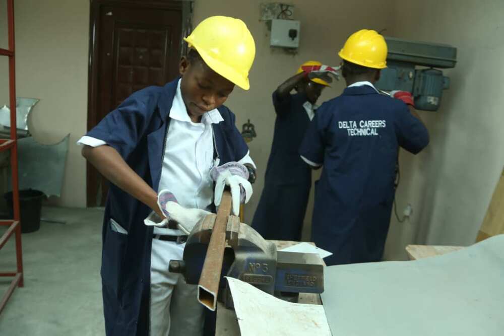 Delta Careers College: Shaping Futures and Fostering Excellence in Nigerian Education Delta Careers College: Shaping Futures and Fostering Excellence in Nigerian Education