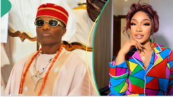 Nigerians dig out old tweet of Wizkid confessing burning desire for Tonto Dikeh: "She was chopped"