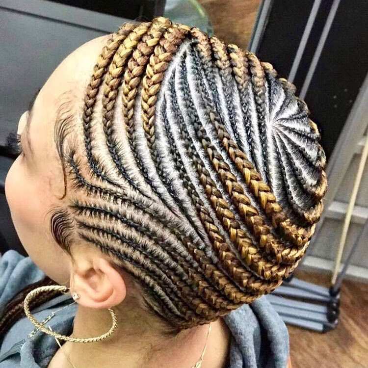 Top 30 latest cornrows hairstyles you should try in 2022 