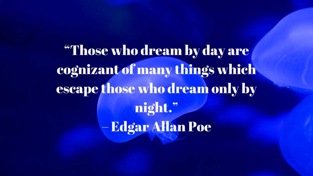 Edgar Allan Poe quotes on love