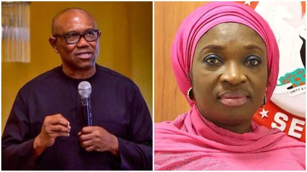 Uche Ekwunife, Peter Obi, 2023 presidential election, Nid Anambra