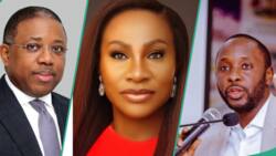 Ex-UBA big shot, former GTBank staff: Meet four new CBN Deputy Governors appointed by Tinubu