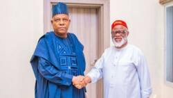 Igbo leaders divided over influential ex-governor's visit to APC's vp candidate Kashim Shettima