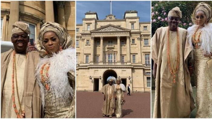 Image result for Queen Of England Hosts Billionaire Razaq Okoya, Wife At Buckingham Palace (photos)