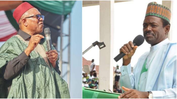 Ex-Minister speaks on 2023 elections, reveals how ‘Obidient wave and Obi’ proved APC, PDP wrong