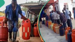 Cooking gas rises again, report shows states where residents paid more to refill 5kg, 12kg cylinder