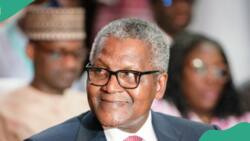 Dangote makes N71bn in 24 hours, maintains strong position among top 100 richest in the world
