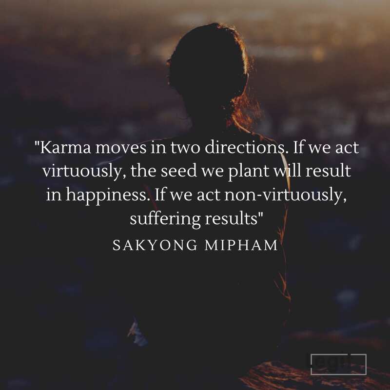 Quotes about karma