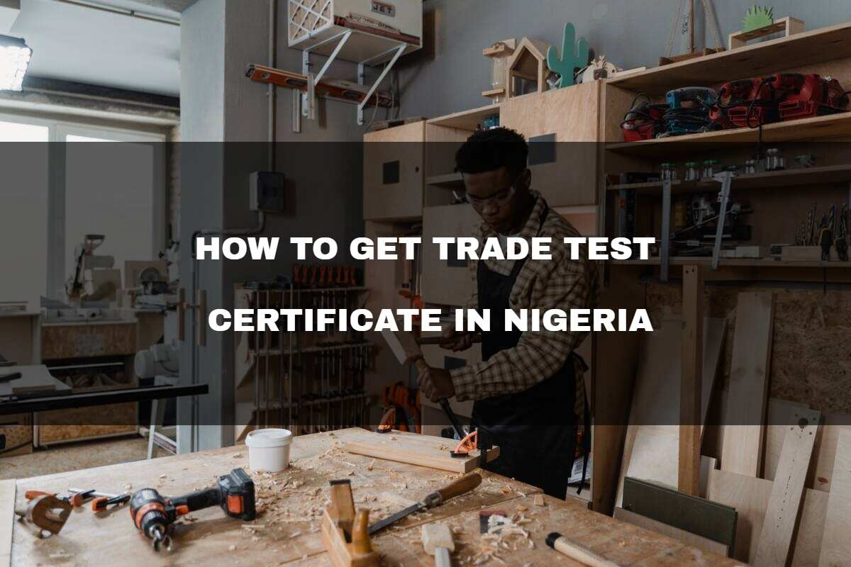 How To Get Trade Test Certificate In Nigeria A Helpful Guide Legit ng