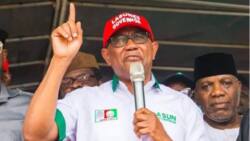 Just in: Peter Obi's Labour Party releases bank account details for campaign fund raising