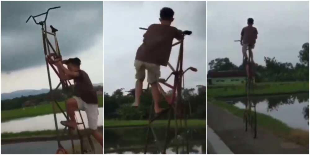 The young boy rode his tall bicycle effortlessly