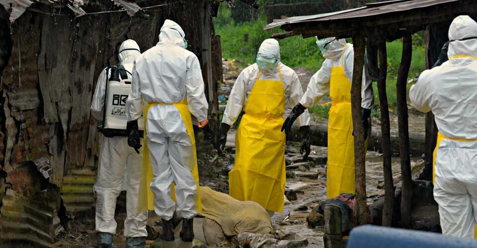 An samu bullar cutar Ebola a Jamhuriyar Demokradiyar Congo - WHO