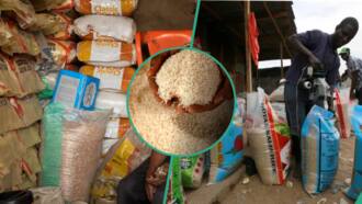 Rice traders exposed for cheating customers with false 25kg, 50kg bags claim