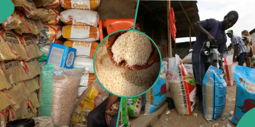 Rice traders caught in deception