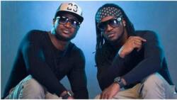 "It was the devil": Paul Okoye on why he didn't talk to brother Peter for 6 years, Nigerians react