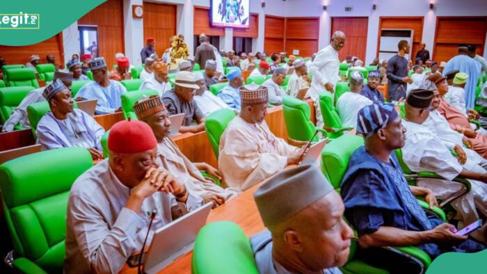 House of Reps put on hold plan to cede part of Adamawa to Cameroon