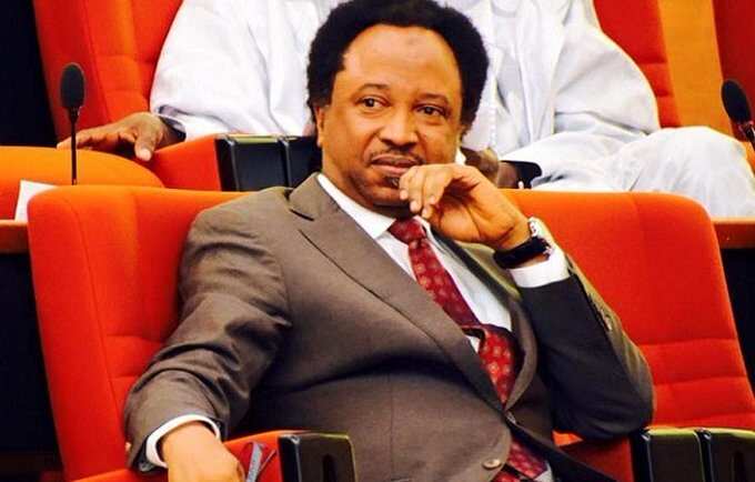 Yadda Shehu Sani ya karba N4m a hannuna zai bai wa alkalai - Shaida